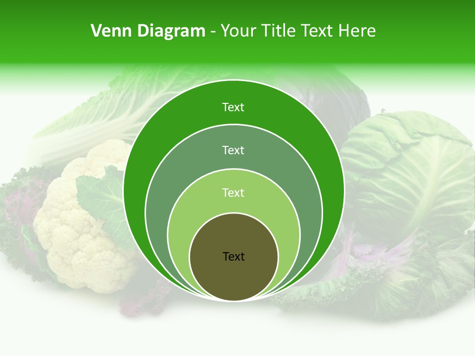 Brussels Cabbages Coleseed PowerPoint Template