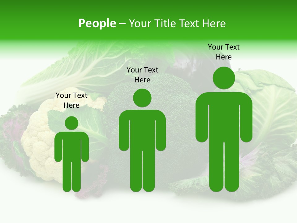 Brussels Cabbages Coleseed PowerPoint Template