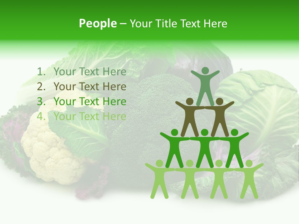 Brussels Cabbages Coleseed PowerPoint Template