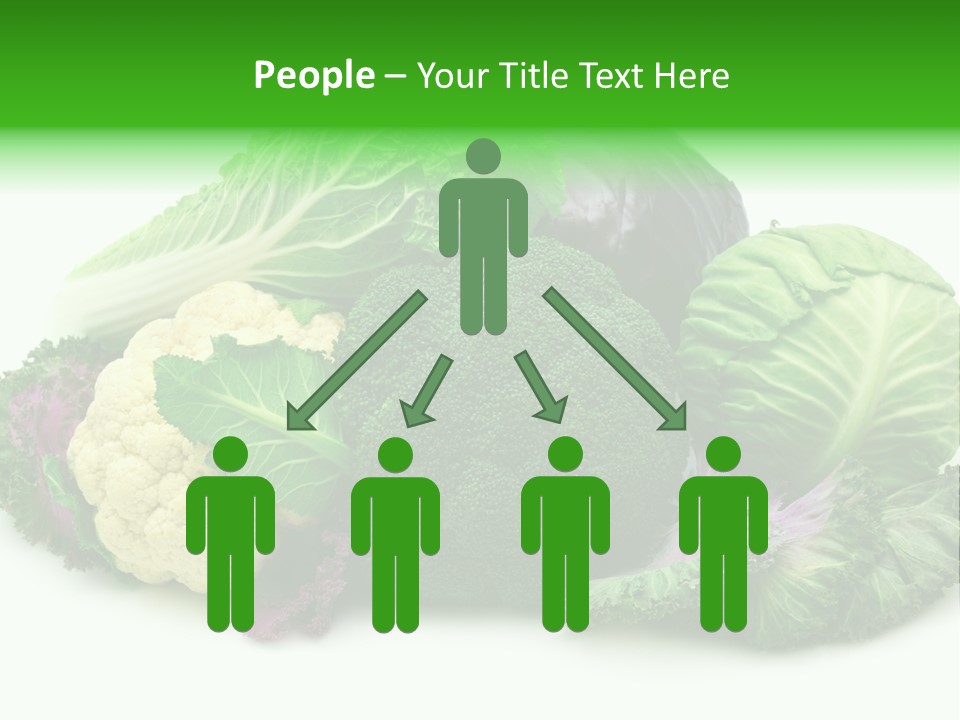 Brussels Cabbages Coleseed PowerPoint Template