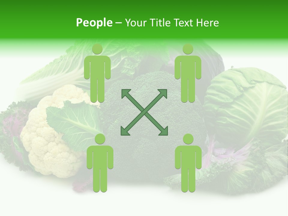 Brussels Cabbages Coleseed PowerPoint Template