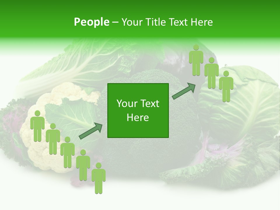 Brussels Cabbages Coleseed PowerPoint Template