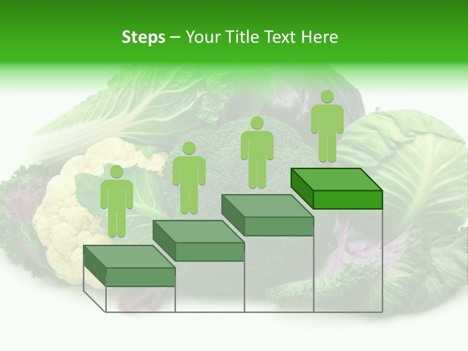 Brussels Cabbages Coleseed PowerPoint Template