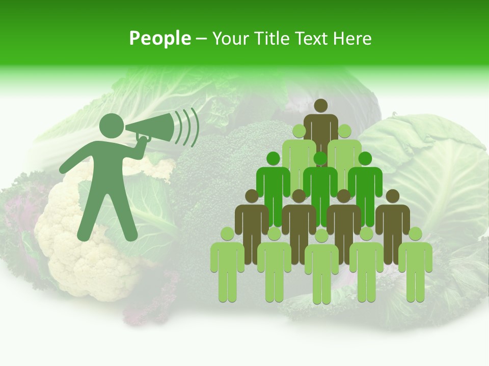 Brussels Cabbages Coleseed PowerPoint Template