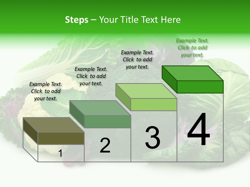 Brussels Cabbages Coleseed PowerPoint Template