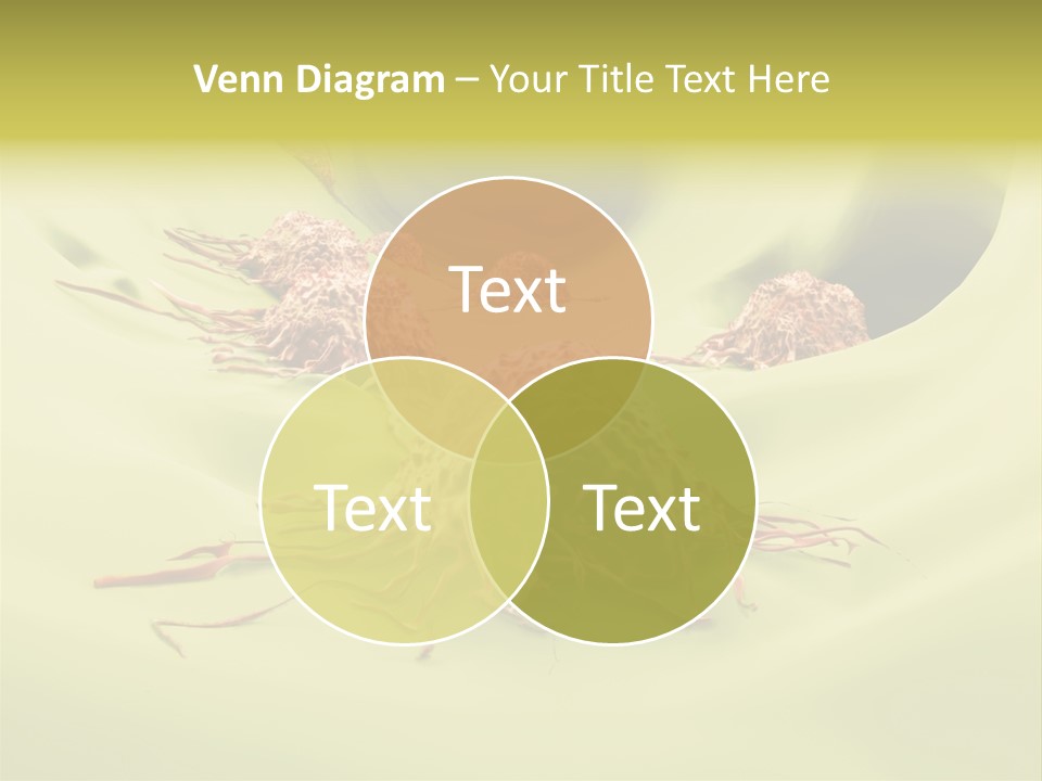 Lymph Lump Dangerous PowerPoint Template