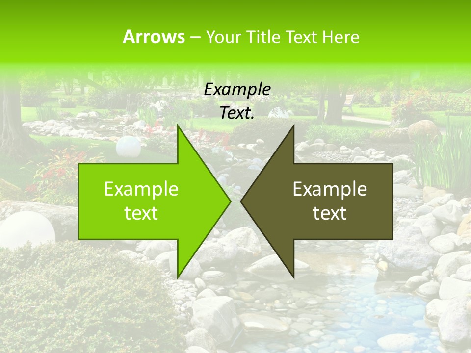 Bloom Water Decoration PowerPoint Template