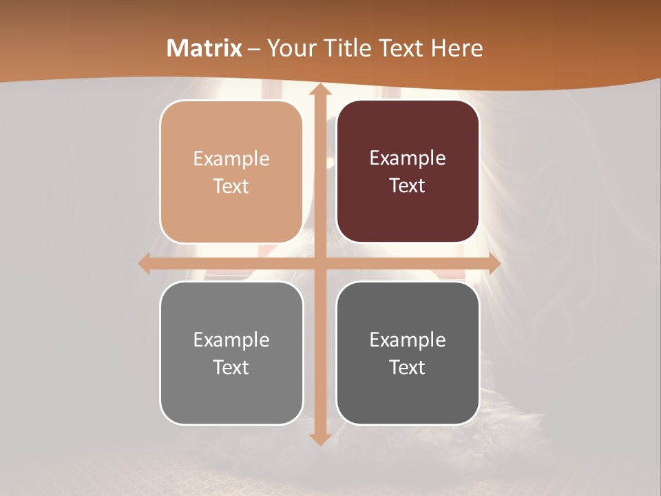 Elegance Horizontal Clothing PowerPoint Template