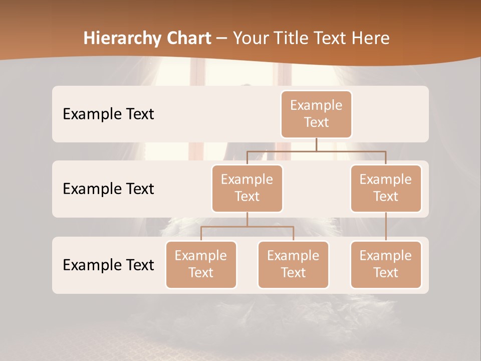 Elegance Horizontal Clothing PowerPoint Template