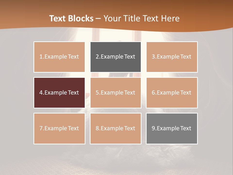 Elegance Horizontal Clothing PowerPoint Template