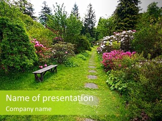 Outdoors Stone Outdoor PowerPoint Template