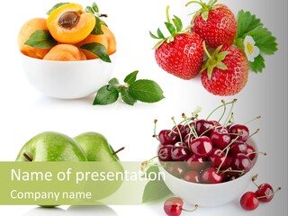 Harvest Ready Vegetarian PowerPoint Template