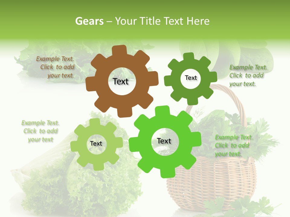 Bundle Spinach Group PowerPoint Template