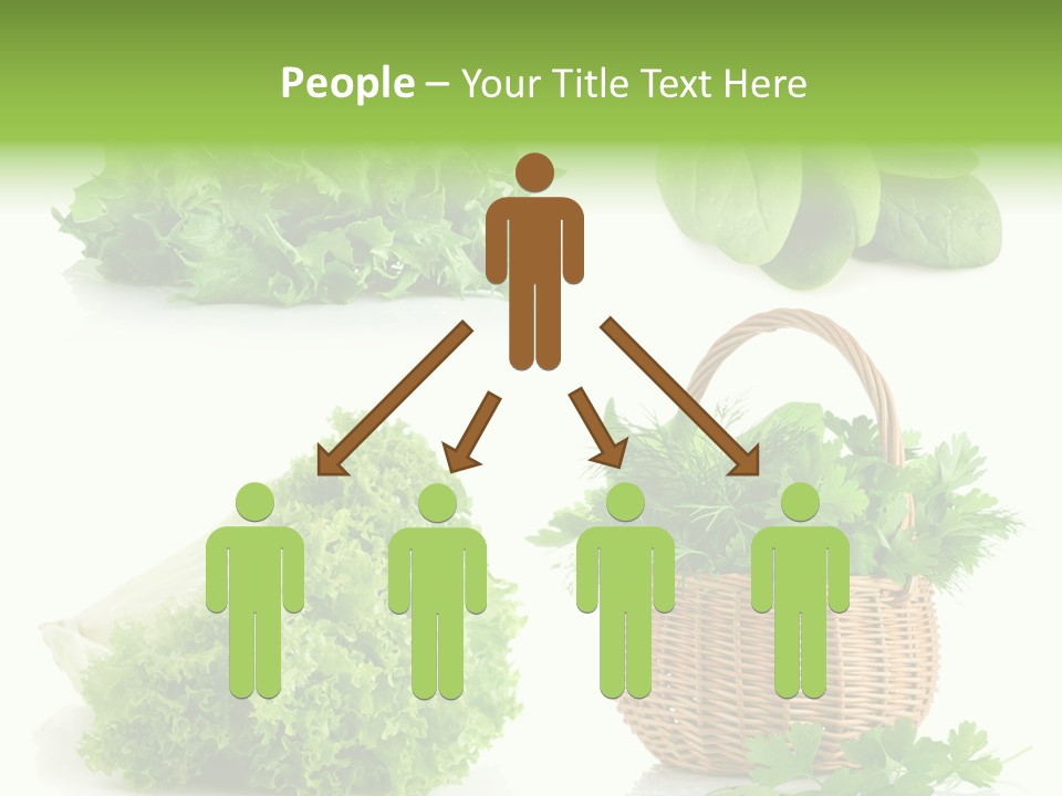 Bundle Spinach Group PowerPoint Template
