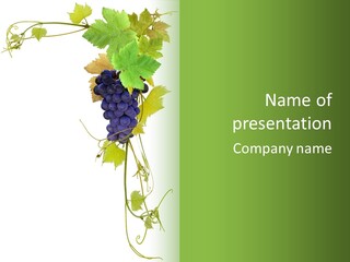 Viticulture Wine Fruit PowerPoint Template