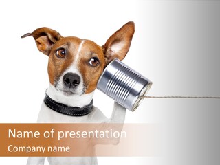 Dog Cute Can PowerPoint Template