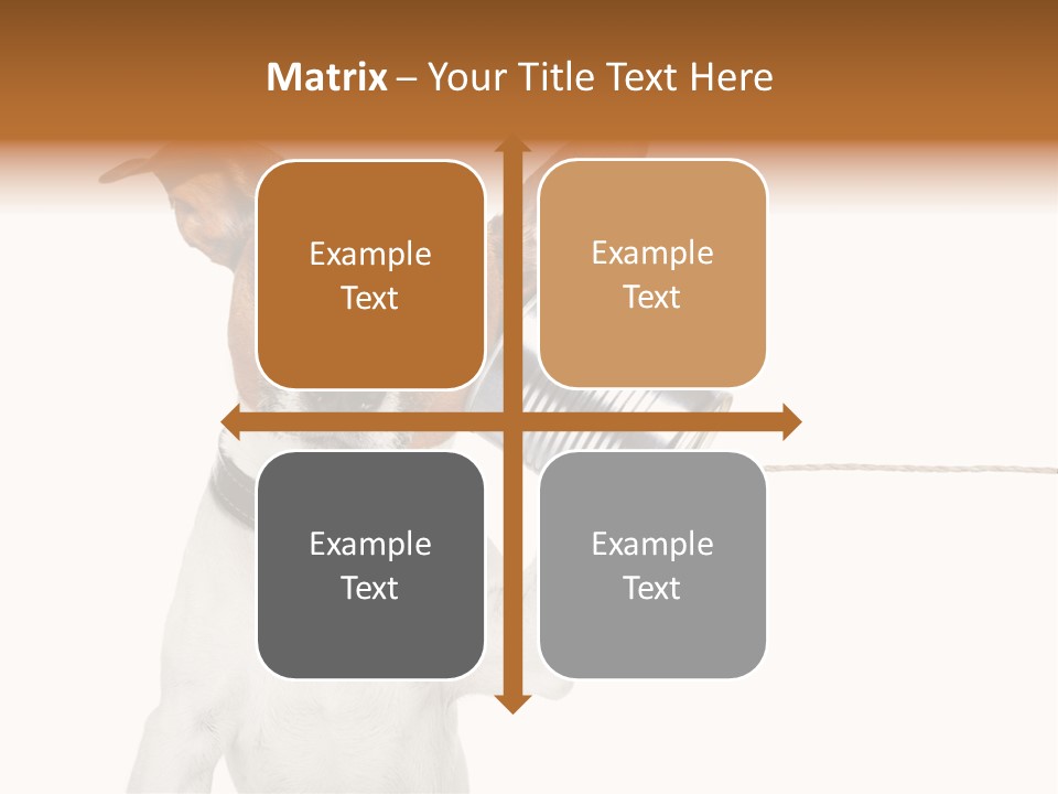 Dog Cute Can PowerPoint Template