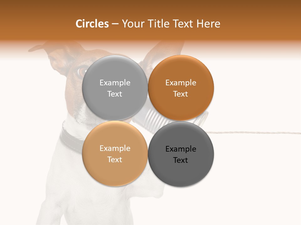 Dog Cute Can PowerPoint Template