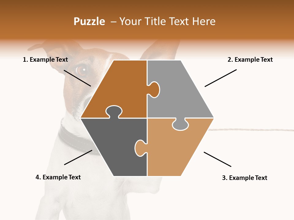 Dog Cute Can PowerPoint Template