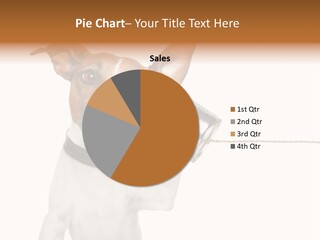 Dog Cute Can PowerPoint Template