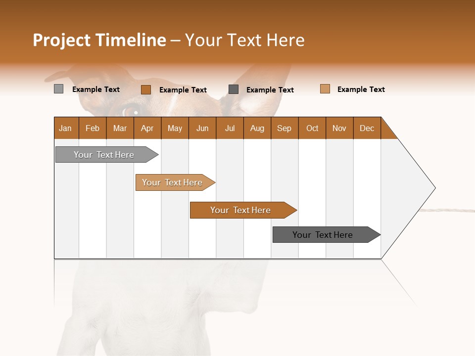 Dog Cute Can PowerPoint Template