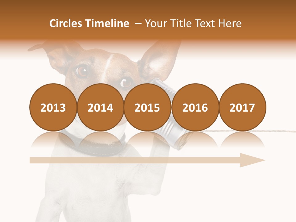 Dog Cute Can PowerPoint Template