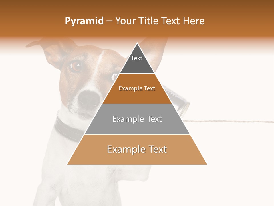 Dog Cute Can PowerPoint Template