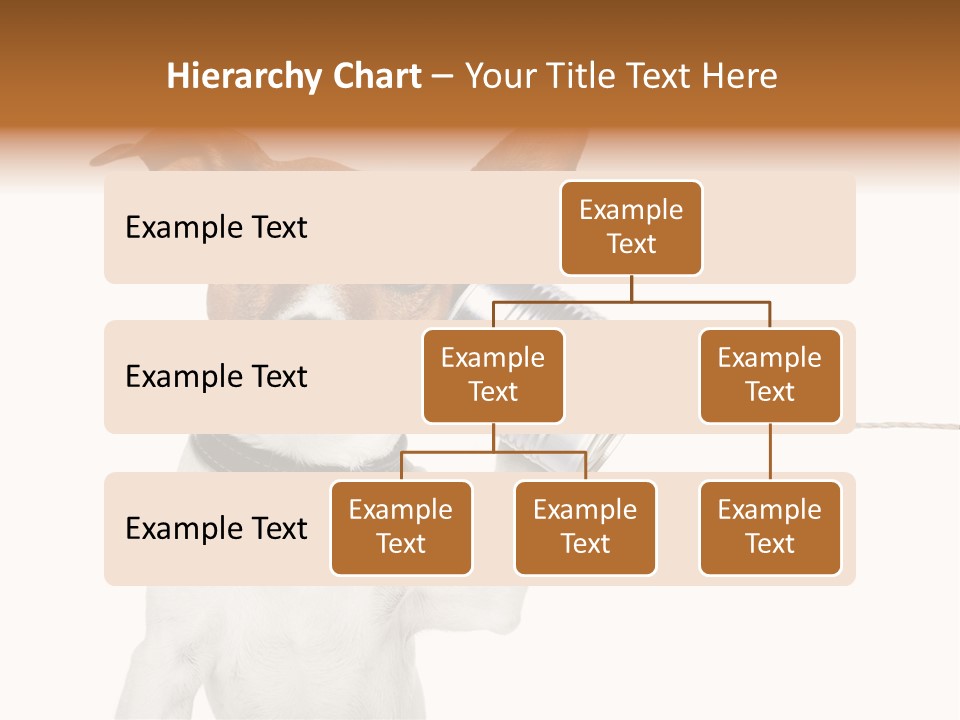 Dog Cute Can PowerPoint Template