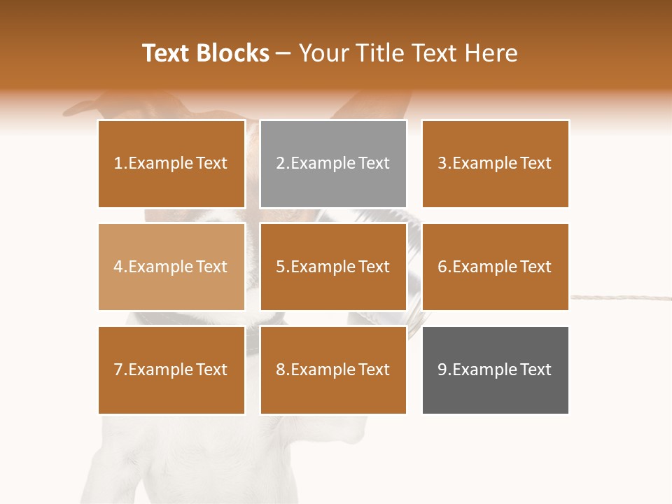 Dog Cute Can PowerPoint Template