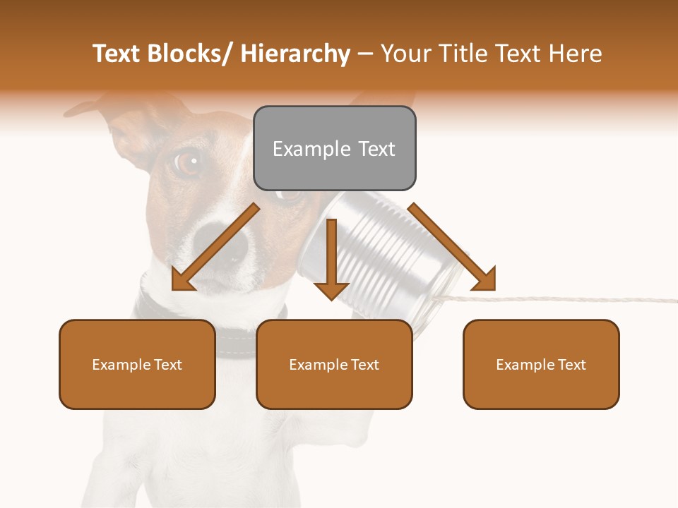 Dog Cute Can PowerPoint Template