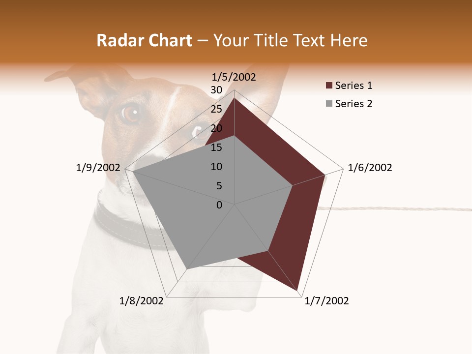 Dog Cute Can PowerPoint Template