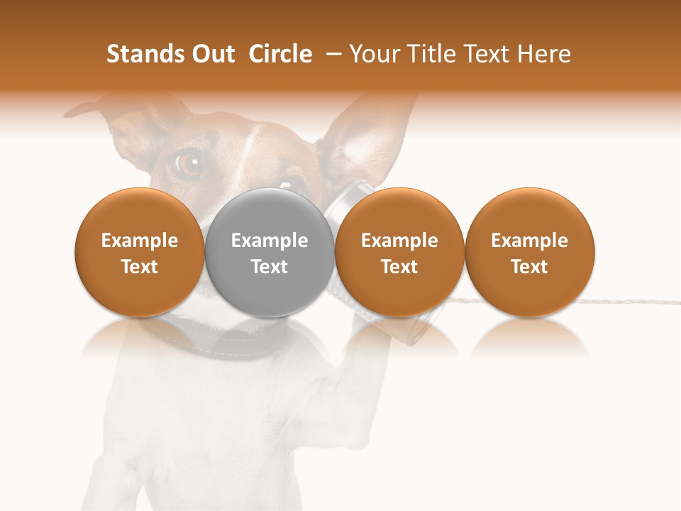 Dog Cute Can PowerPoint Template