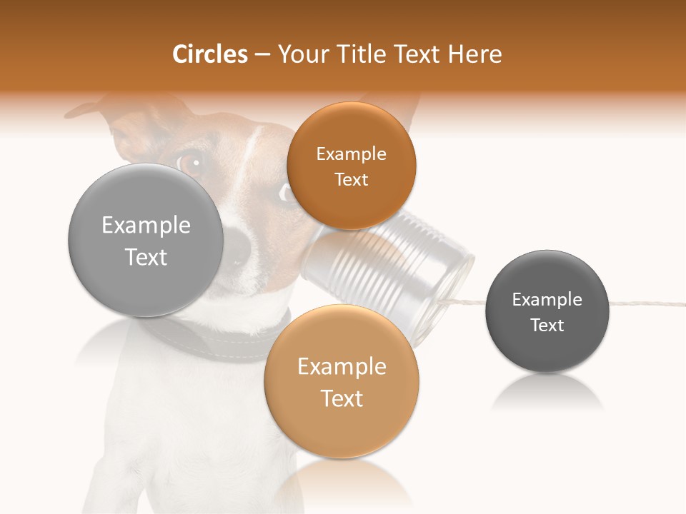 Dog Cute Can PowerPoint Template