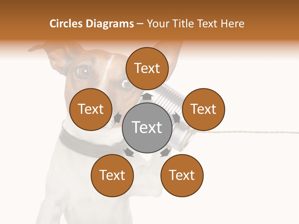 Dog Cute Can PowerPoint Template
