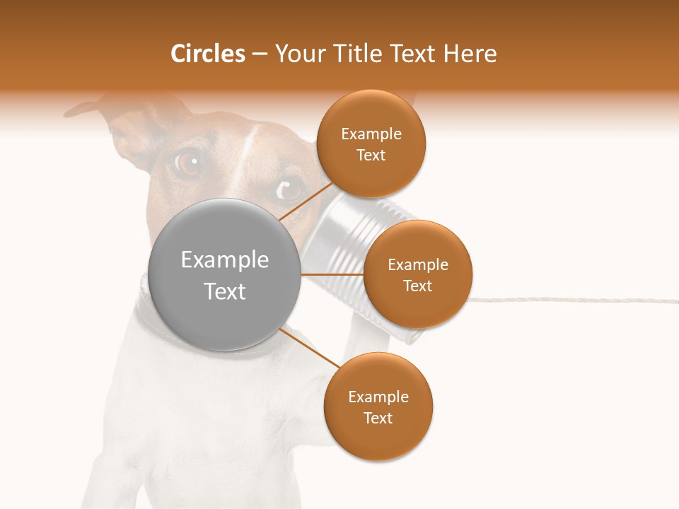 Dog Cute Can PowerPoint Template