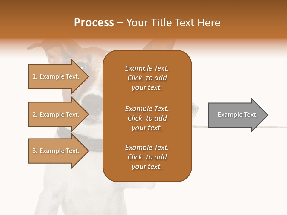 Dog Cute Can PowerPoint Template