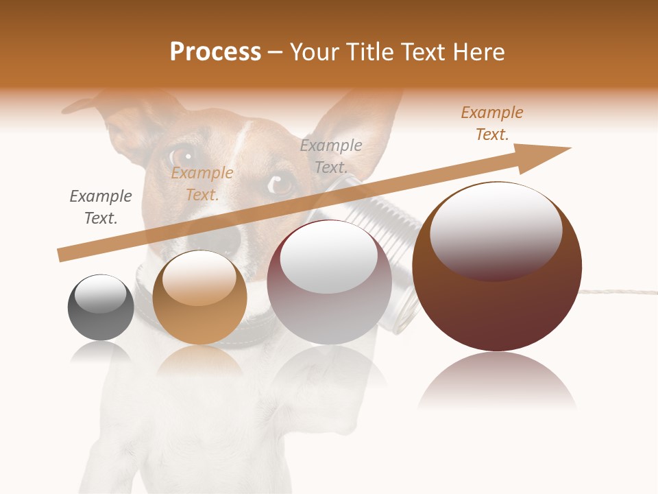 Dog Cute Can PowerPoint Template