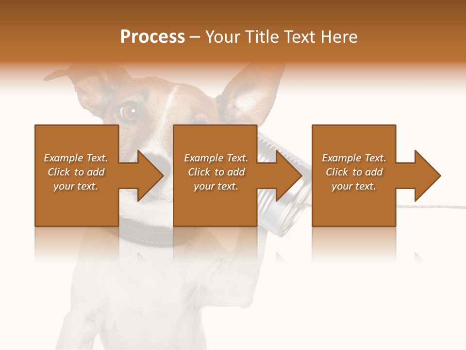Dog Cute Can PowerPoint Template