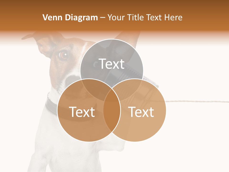 Dog Cute Can PowerPoint Template