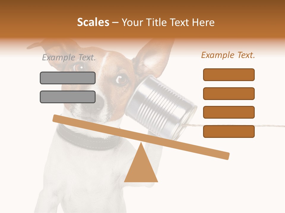Dog Cute Can PowerPoint Template