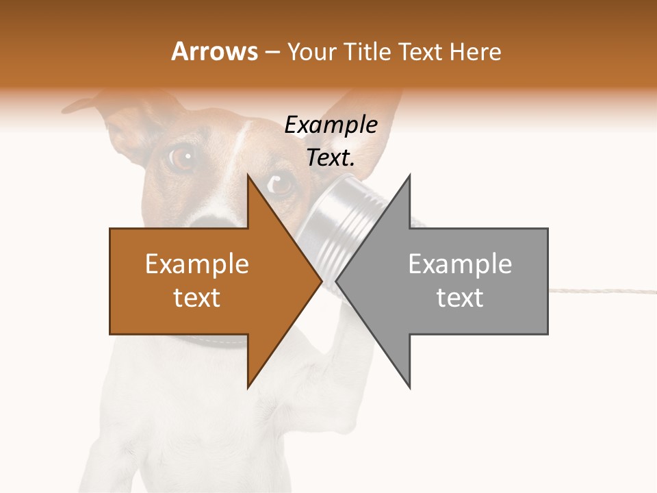 Dog Cute Can PowerPoint Template