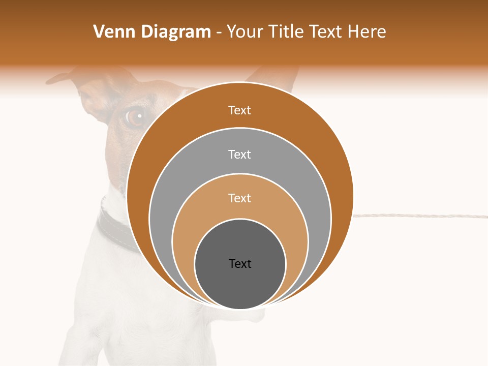 Dog Cute Can PowerPoint Template