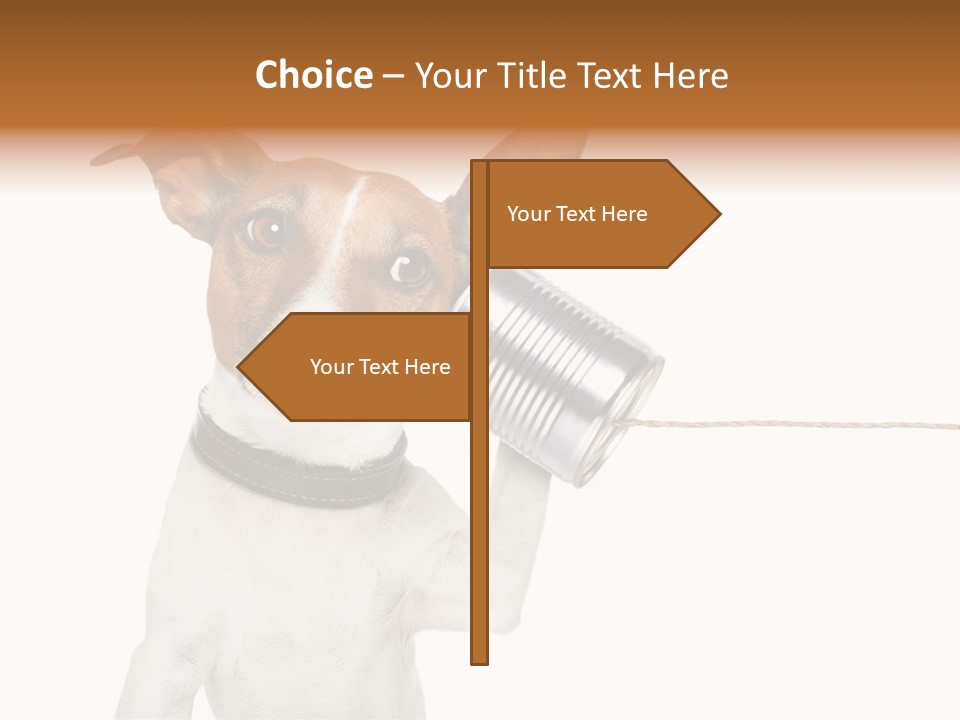 Dog Cute Can PowerPoint Template
