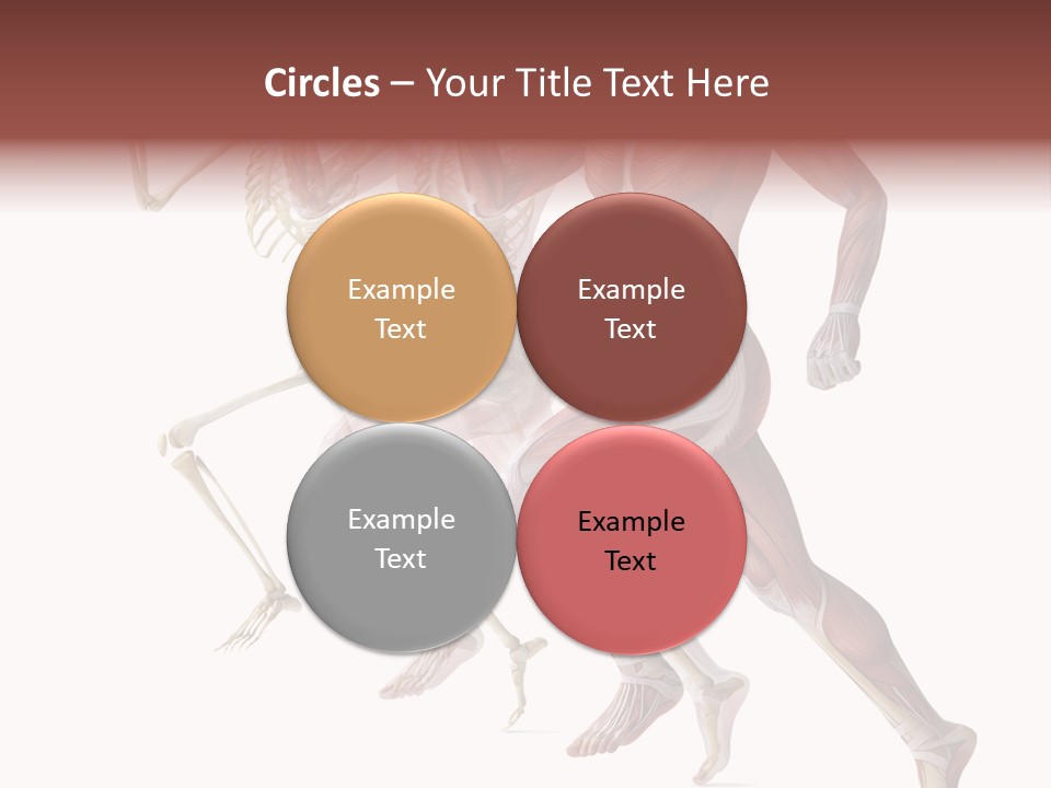 Structure System Posture PowerPoint Template
