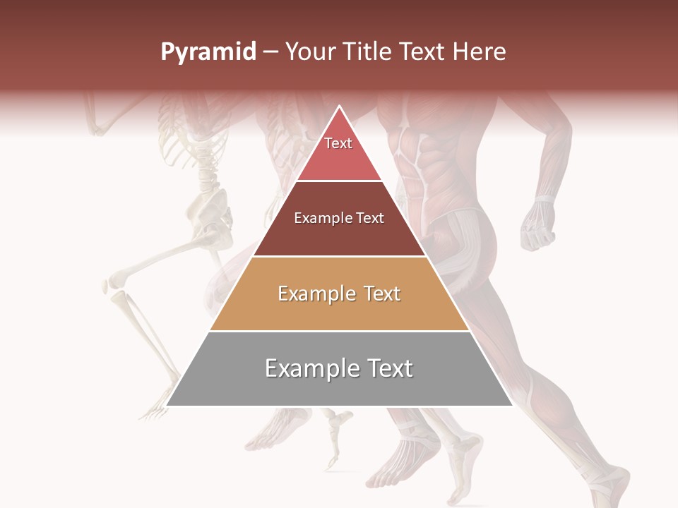 Structure System Posture PowerPoint Template