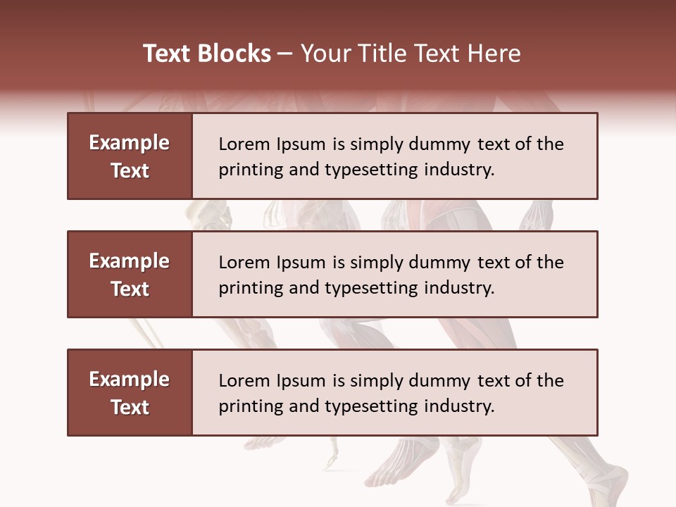 Structure System Posture PowerPoint Template