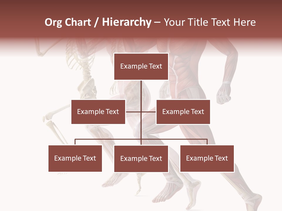 Structure System Posture PowerPoint Template