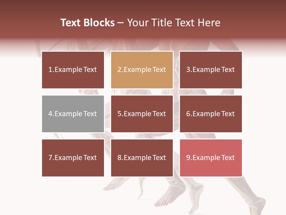 Structure System Posture PowerPoint Template