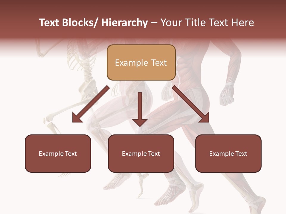 Structure System Posture PowerPoint Template