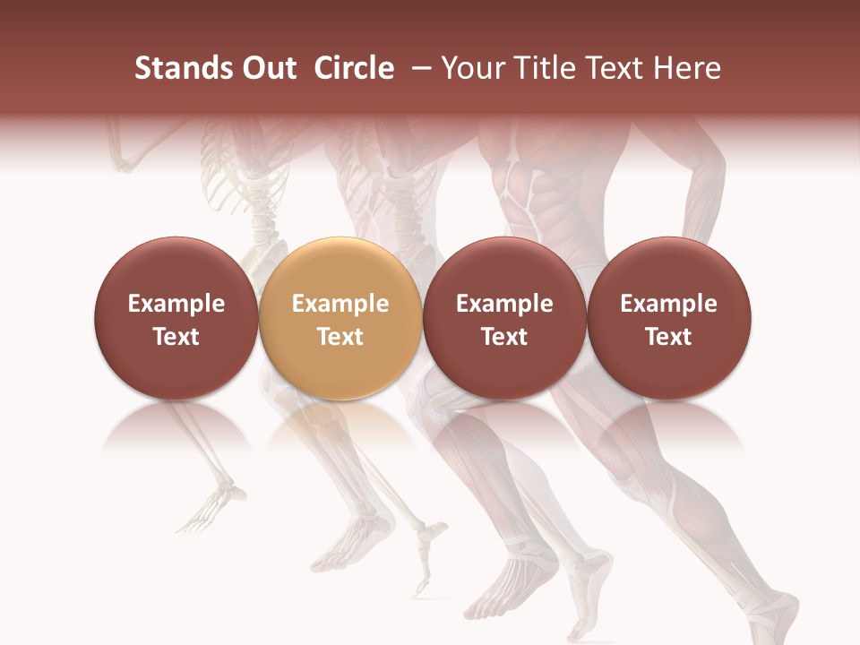 Structure System Posture PowerPoint Template